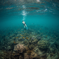 ISHIGAKI SKINDIVING TRIP [APRIL2027]